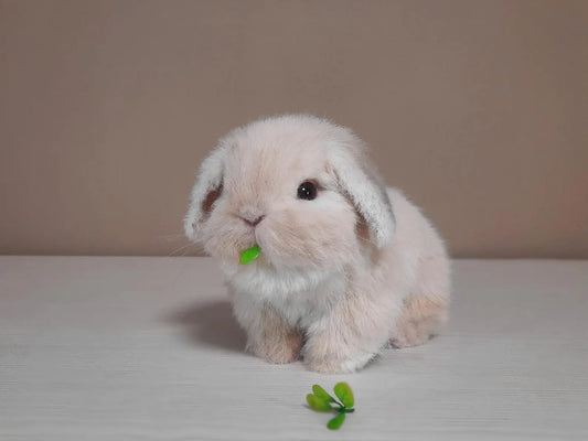 Handmade Bunny