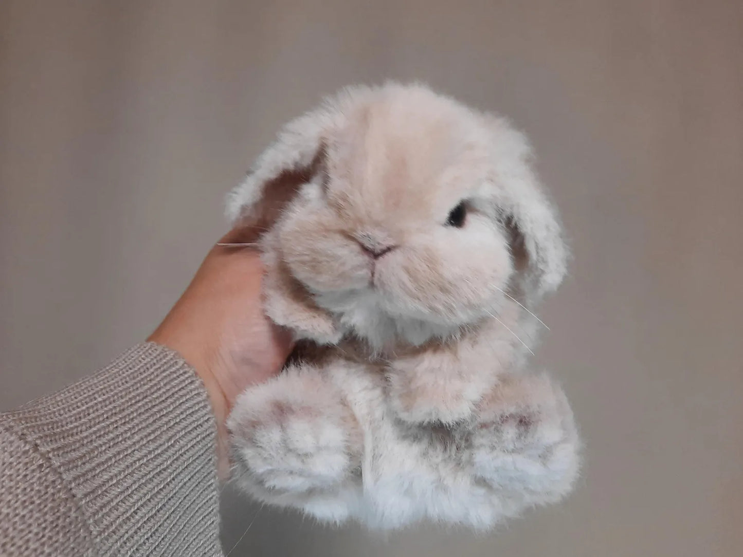 Handmade Bunny